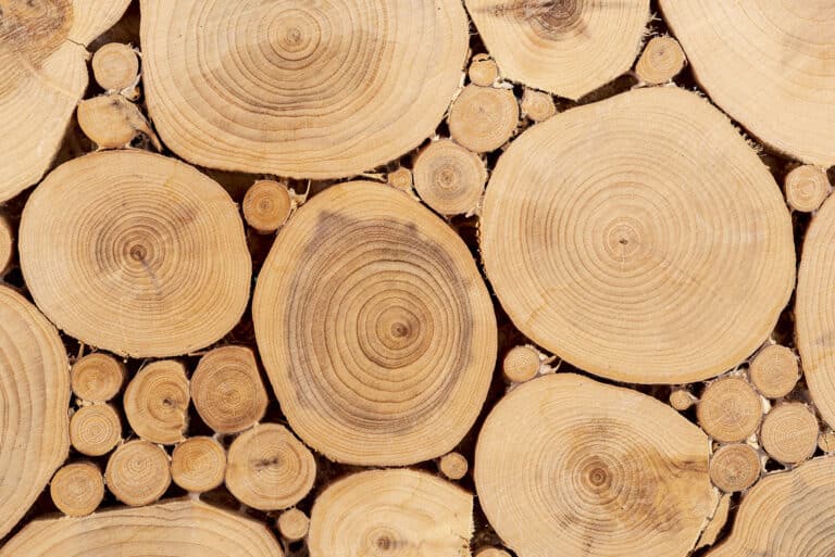 Lire la suite à propos de l’article Création avec rondin de bois : l’art d’un artisan passionné