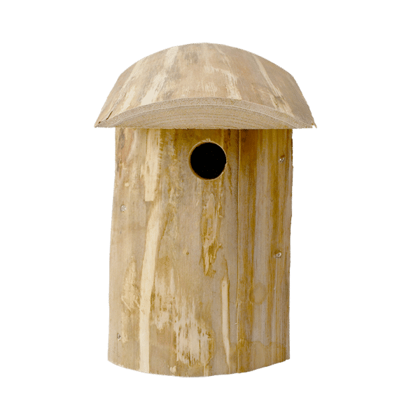 Nichoir à mésanges – Image 2
