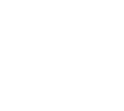 Logo blanc - Création Bois de David